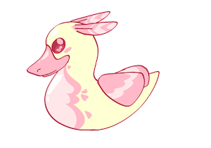 Rosey maple duck